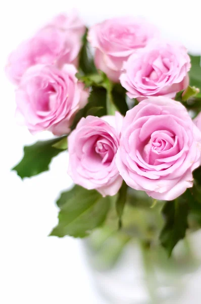 粉色玫瑰花束花瓶里 — 图库照片