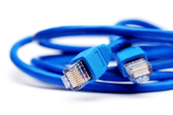 stock image Network cable