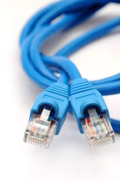 stock image Network cable