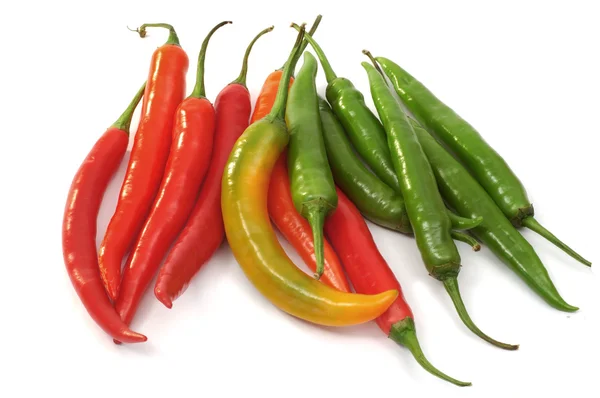 Chiles coloridos — Foto de Stock