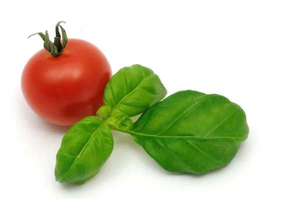Folhas de manjericão e tomate cereja — Fotografia de Stock