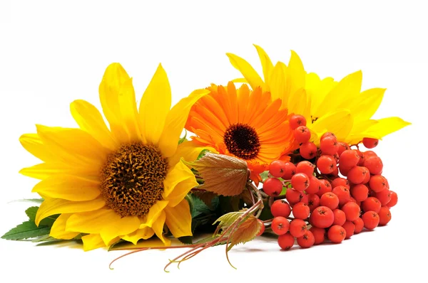 Ясен і квіти натюрморт Ліцензійні Стокові Фото