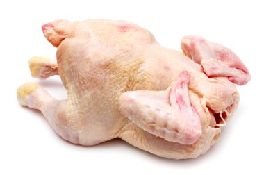 Fresh chicken clipart