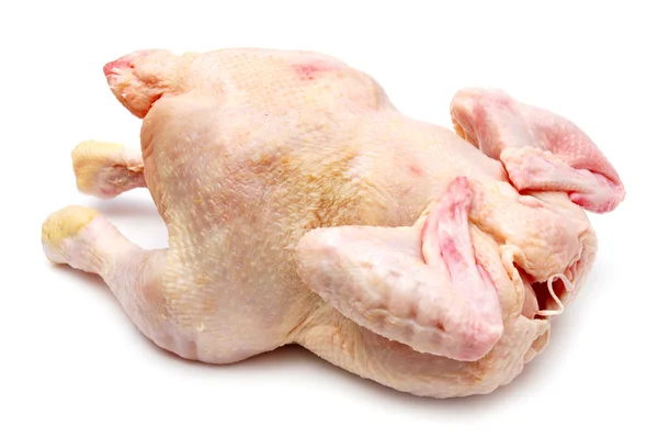 stock image Fresh chicken