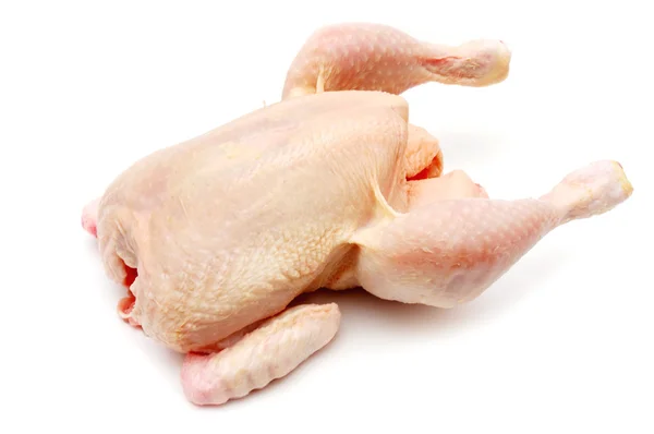 stock image Fresh chicken