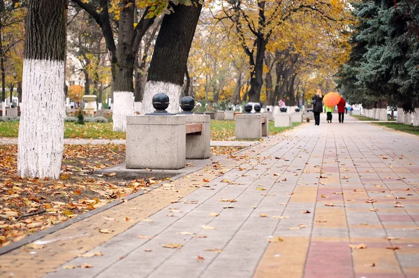 stock image Autumn alley