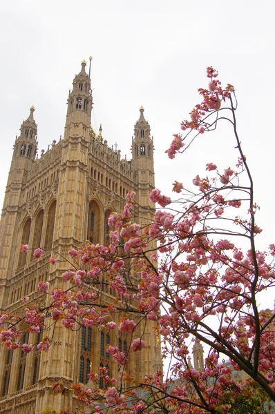 Spring in London — Stock Photo, Image