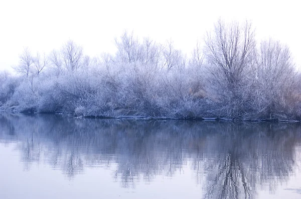 白い冬の風景 — ストック写真