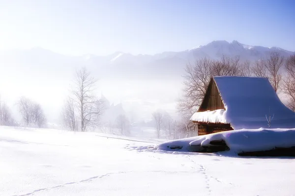 グラマー冬景色 — ストック写真