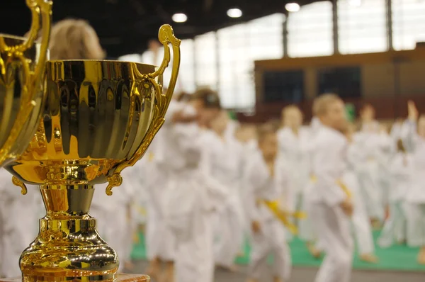 Karate tournament — Stock Photo, Image