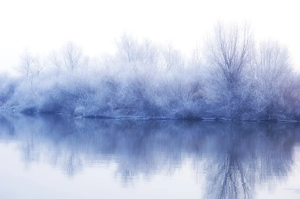 하얀 겨울 풍경 스톡 이미지