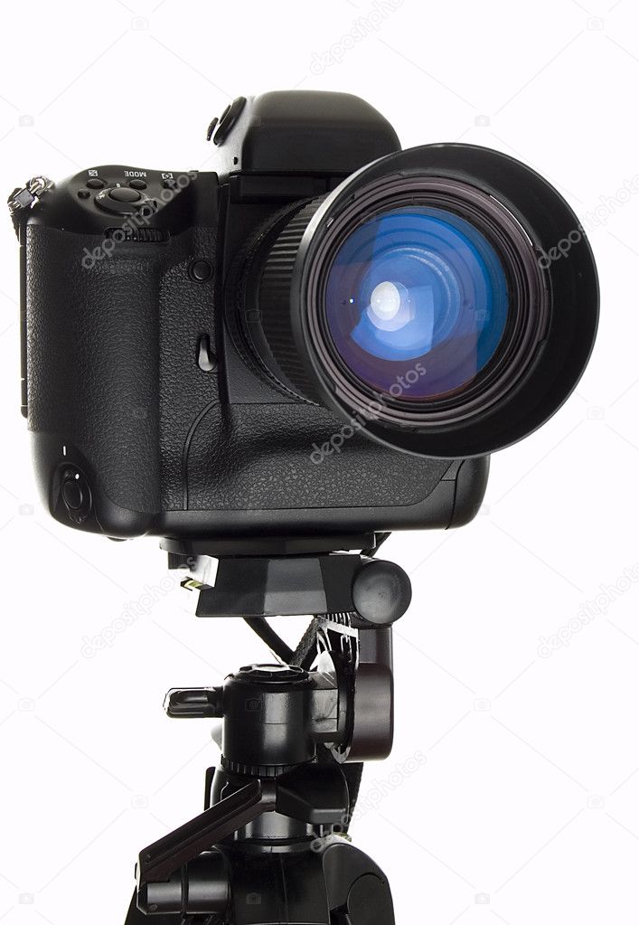 Professional digital camera