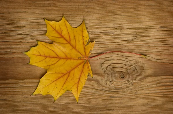 오래 된 보드에가 잎 — 스톡 사진