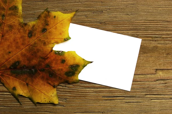 Podzimní karta — Stock fotografie