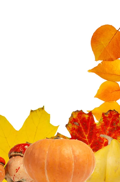 Podzimní rámeček — Stock fotografie