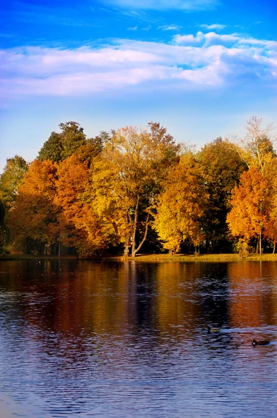 stock image Autumn scene