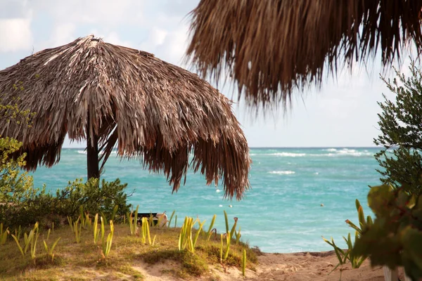 Kaunis Karibian ranta — kuvapankkivalokuva