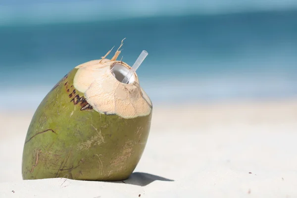 Kokosgetränk mit Pfeife in der Karibik — Stockfoto