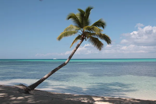 Piękna plaża karaibska — Zdjęcie stockowe