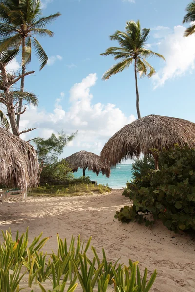 Schöner karibischer Strand — Stockfoto