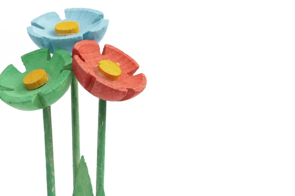 Färgade daisy blommor — Stockfoto