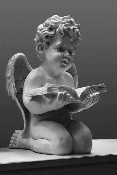 Angel with the book — Stock Photo, Image