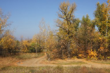 Sonbahar manzarası