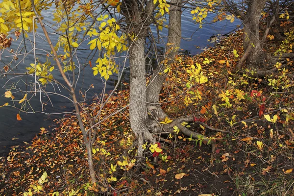 stock image Autumn landscape