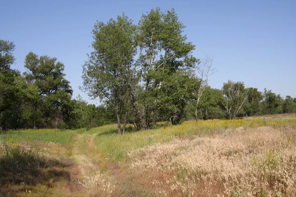 Warme landschap — Stockfoto