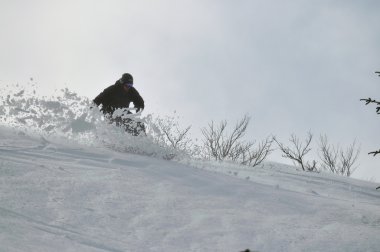 Snowboard