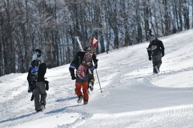 Snowboard clipart