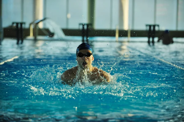 Nadador recreación en olimpic piscina —  Fotos de Stock
