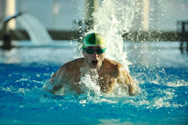 수영 olimpic 수영장에 재현 — 스톡 사진