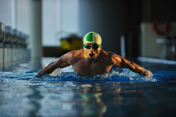 Simmare att återskapa på olimpic pool — Stockfoto