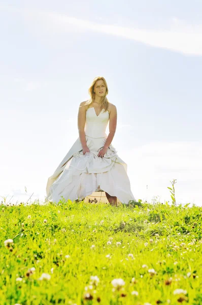 結婚式の後の美しい花嫁 — ストック写真