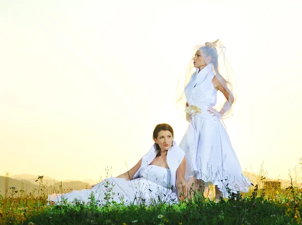 草原の花嫁を実行 — ストック写真