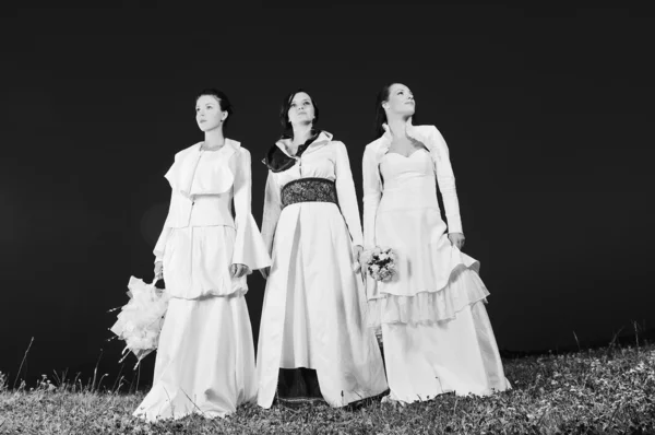 Running brides on meadow — Stock Photo, Image