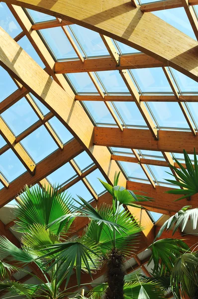 Construcción de palma y techo de madera — Foto de Stock