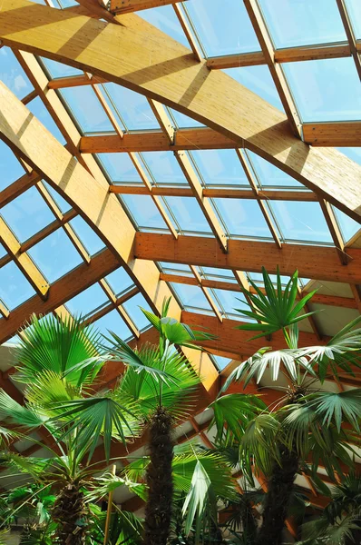 stock image Palm and wooden roof construction