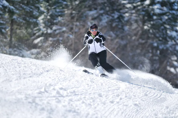 Winer femme ski — Photo