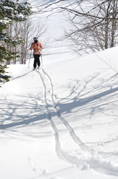 ワイナーの女性スキー — ストック写真