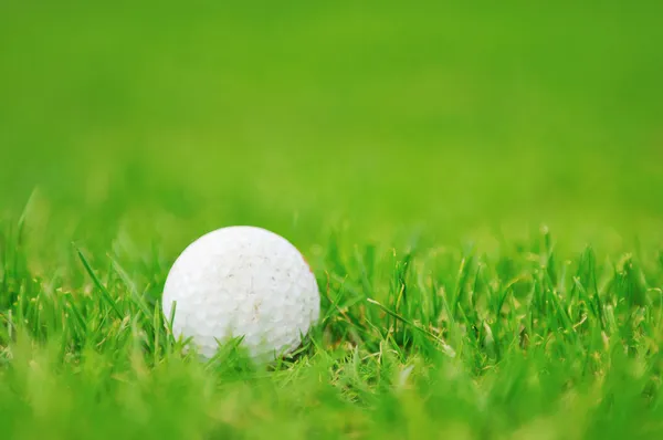 Golfball — Stockfoto