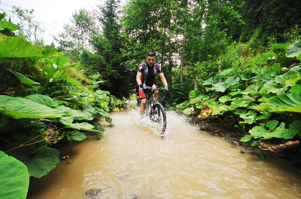 Montaggio bagnato giro in bicicletta — Foto Stock