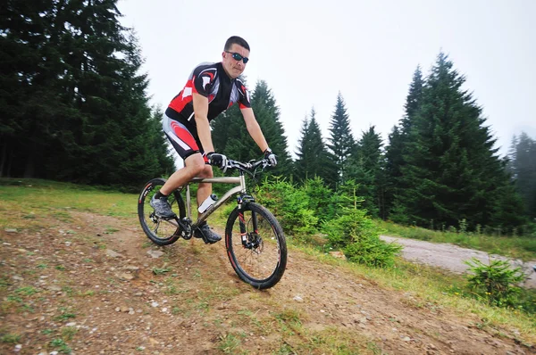 Wet mount cykeltur — Stockfoto