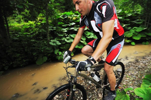 Wet mount cykeltur — Stockfoto