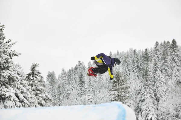 스노우보드 점프 — 스톡 사진