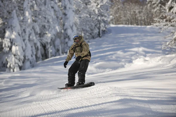 Freestyle Snowboarder springen und fahren — Stockfoto
