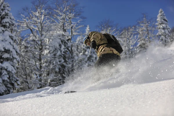 Freestyle Snowboarder springen und fahren — Stockfoto