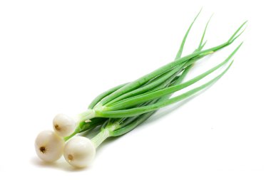 Green onions clipart