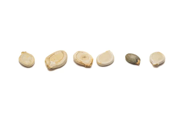Dýňová semena — Stock fotografie